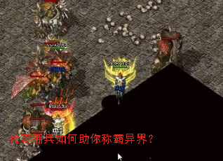 ����Ӷ���������ư���磿