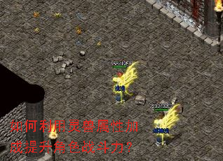 ��������������Լӳ�������ɫս������