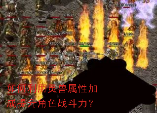 ��������������Լӳ�������ɫս������