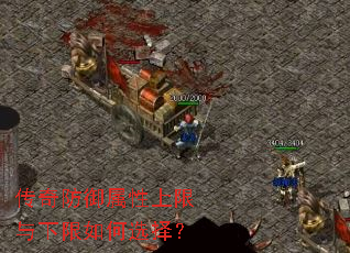 ������������������������ѡ��