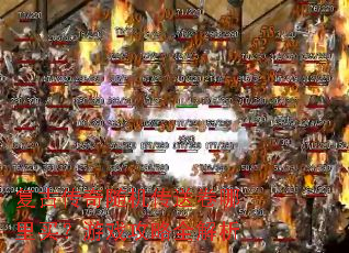 ���Ŵ���������;���������Ϸ����ȫ����