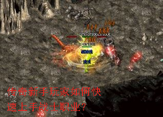 �������������ο�������սʿְҵ��