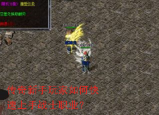 �������������ο�������սʿְҵ��