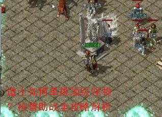 ��ʿ��ε����������������սȫ���Խ���