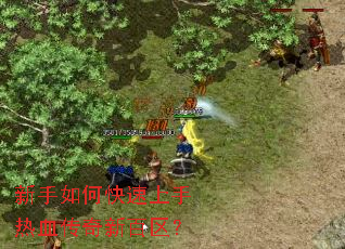 ������ο���������Ѫ�����°�����