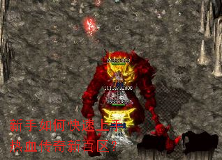 ������ο���������Ѫ�����°�����