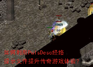 �������PulsDesc������ʾ�ļ�����������Ϸ���飿