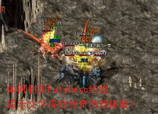 �������PulsDesc������ʾ�ļ�����������Ϸ���飿