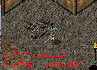 �������PulsDesc������ʾ�ļ�����������Ϸ���飿