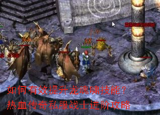 �����Ч��������Х���ܣ���Ѫ����˽��սʿ���׹���