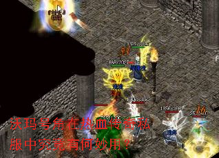 ����Ž�����Ѫ����˽���о����к����ã�