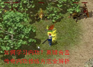 ���ѧϰ�ڹ���Ӣ�ۺϻ������ڹ���������ȫ����