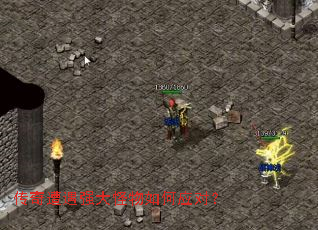 ��������ǿ��������Ӧ�ԣ�