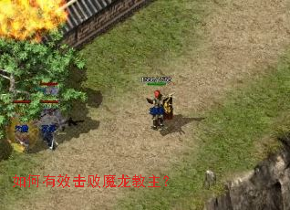 如何有效击败魔龙教主? 如何有效击败魔龙教主?