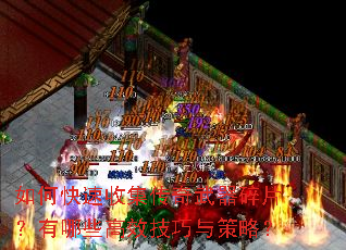 ��ο����ռ�����������Ƭ������Щ��Ч��������ԣ�