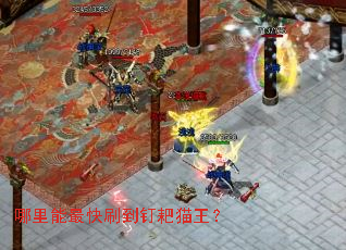 ���������ˢ������è����