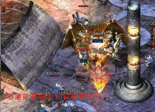 ���������ˢ������è����