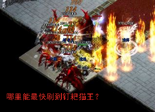 ���������ˢ������è����