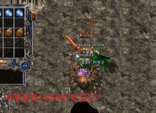 ���������ˢ������è����