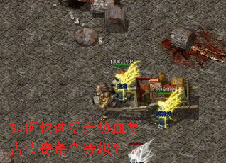 ��ο���������Ѫ���Ŵ����ɫ�ȼ���