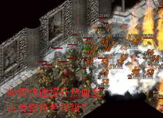 ��ο���������Ѫ���Ŵ����ɫ�ȼ���