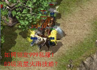 �������999˽��180�����ǻ��꼼�ܣ�