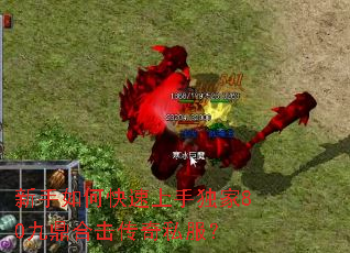 新手如何快速上手独家80九鼎合击传奇私服? 新手如何快速上手独家80九鼎合击传奇私服?