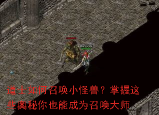 ��ʿ����ٻ�С���ޣ�������Щ������Ҳ�ܳ�Ϊ�ٻ���ʦ