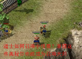 ��ʿ����ٻ�С���ޣ�������Щ������Ҳ�ܳ�Ϊ�ٻ���ʦ