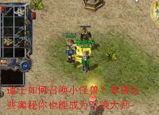 ��ʿ����ٻ�С���ޣ�������Щ������Ҳ�ܳ�Ϊ�ٻ���ʦ