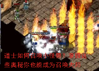 ��ʿ����ٻ�С���ޣ�������Щ������Ҳ�ܳ�Ϊ�ٻ���ʦ