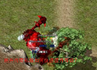 新开传奇私服如何快速提升等级? 新开传奇私服如何快速提升等级?