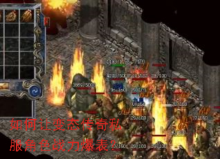 ����ñ�̬����˽����ɫս��������