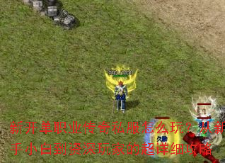 新开单职业传奇私服怎么玩?从新手小白到资深玩家的超详细攻略 新开单职业传奇私服怎么玩?从新手小白到资深玩家的超详细攻略