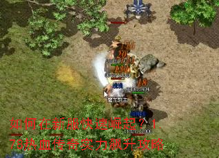 如何在新服快速崛起?1.78热血传奇实力飙升攻略 如何在新服快速崛起?1.78热血传奇实力飙升攻略