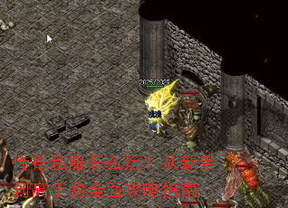 ����˽����ô�棿�����ֵ����ֵ�ȫ�湥��ָ��