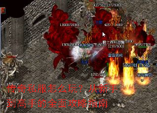 ����˽����ô�棿�����ֵ����ֵ�ȫ�湥��ָ��