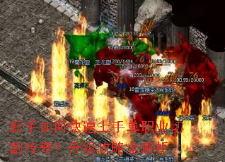 ������ο������ֵ�ְҵ�и�棿��������ȫ����