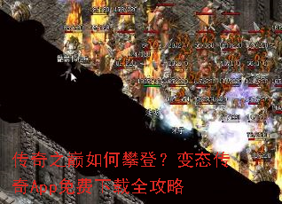 ����֮������ʵǣ���̬����App�������ȫ����