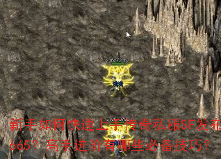 新手如何快速上手传奇私服SF发布网665?高手进阶有哪些必备技巧? 新手如何快速上手传奇私服SF发布网665?高手进阶有哪些必备技巧?