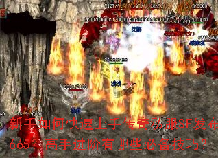 ������ο������ִ���˽��SF������665�����ֽ�������Щ�ر����ɣ�