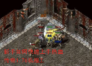 ������ο���������Ѫ����1.76˽����