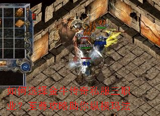 ���ѡ���ţ����˽����ְҵ�������������ݺ��귨