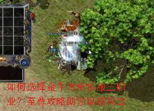 ���ѡ���ţ����˽����ְҵ�������������ݺ��귨