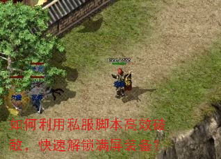 �������˽���ű���Ч�ƵУ����ٽ�������װ����