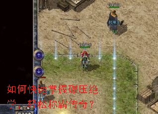 ��ο���������ѹ��ѧ�����ɳưԴ��棿