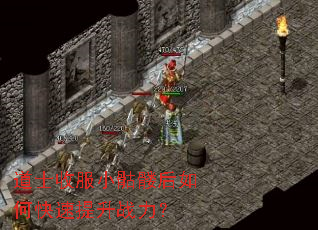 道士收服小骷髅后如何快速提升战力? 道士收服小骷髅后如何快速提升战力?