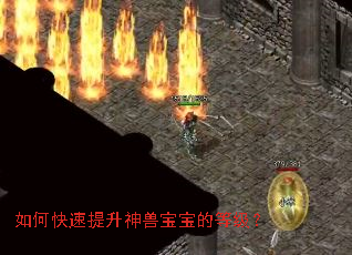 ��ο����������ޱ����ĵȼ���