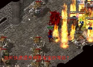 ��ο����������ޱ����ĵȼ���