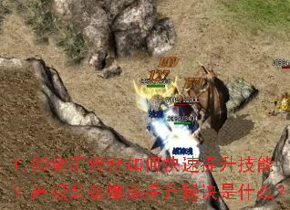 1.80金币传奇如何快速提升技能?高级装备爆率提升秘诀是什么? 1.80金币传奇如何快速提升技能?高级装备爆率提升秘诀是什么?